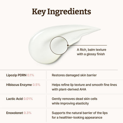 Dr. Reju-All Advanced PDRN Rejuvenating Lip Serum