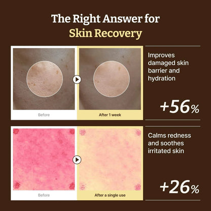 Dr. Reju-All Advanced PDRN Rejuvenating Cream