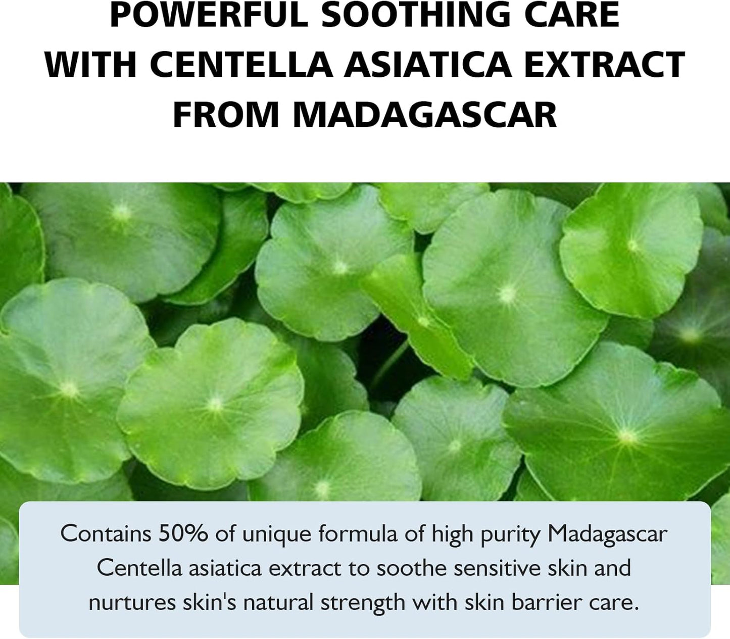 Madagascar Sunscreen Face Serum, Daily UV Defense Sunblock Summer Sunscreen for Face