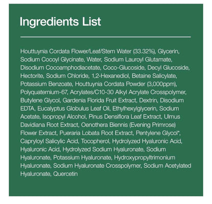 Anua, Heartleaf Quercetinol™ Pore Deep Cleansing Foam, 5.07 fl oz (150 ml